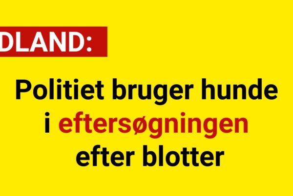 Politiet bruger hunde i eftersøgningen efter blotter - Udland