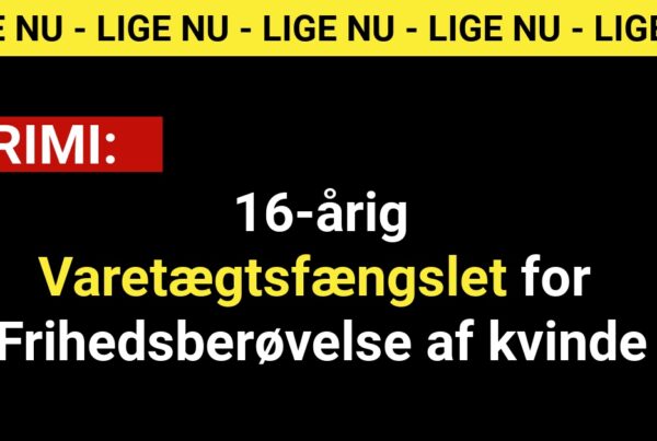 16-årig Varetægtsfængslet for Frihedsberøvelse af kvinde - Krimi