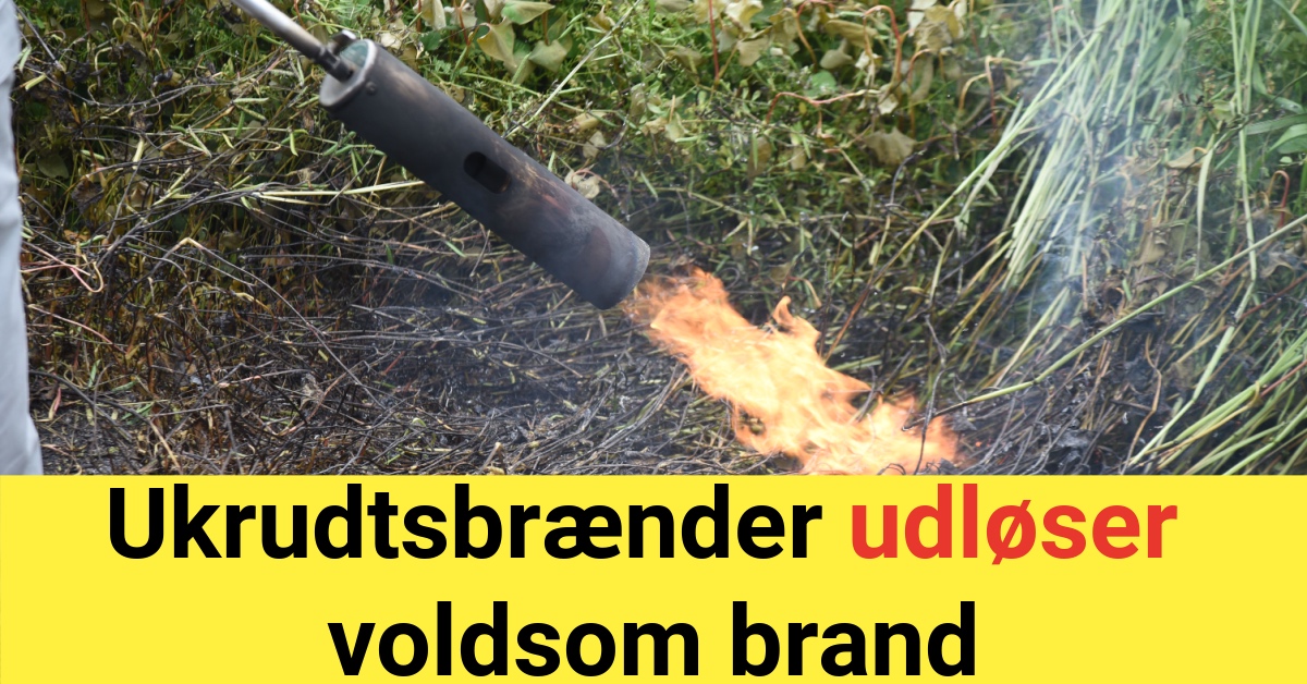 Ukrudtsbrænder udløser voldsom brand