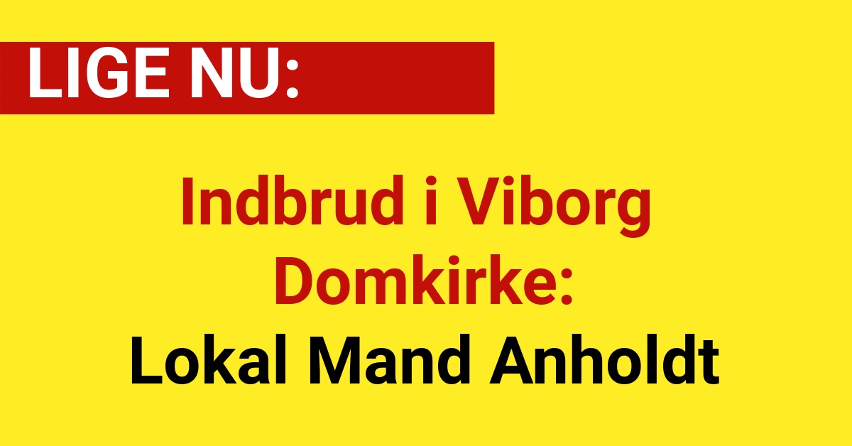 Indbrud i Viborg Domkirke: Lokal Mand Anholdt