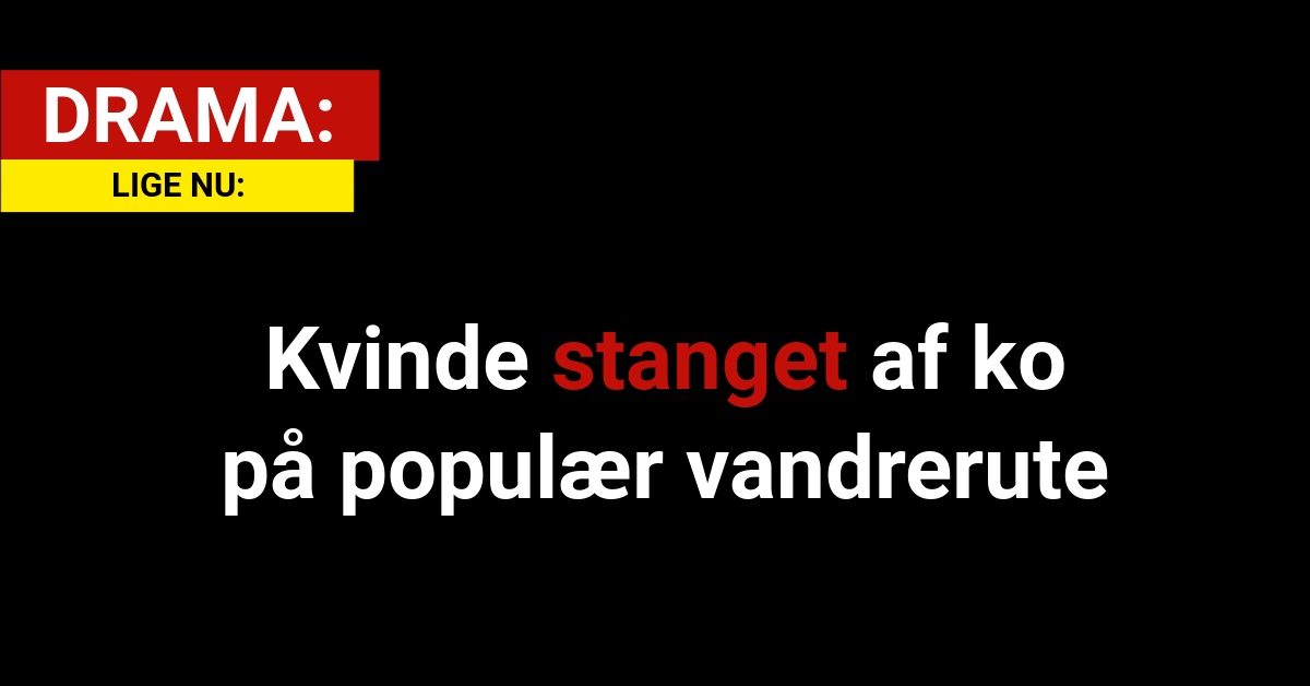 DRAMA: Kvinde stanget af ko på populær vandrerute