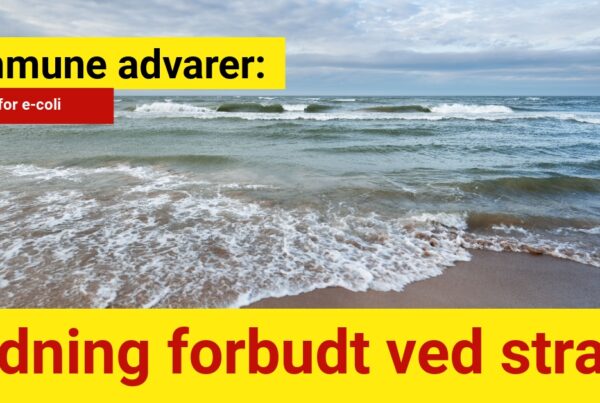 Kommune advarer: Badning forbudt ved strand