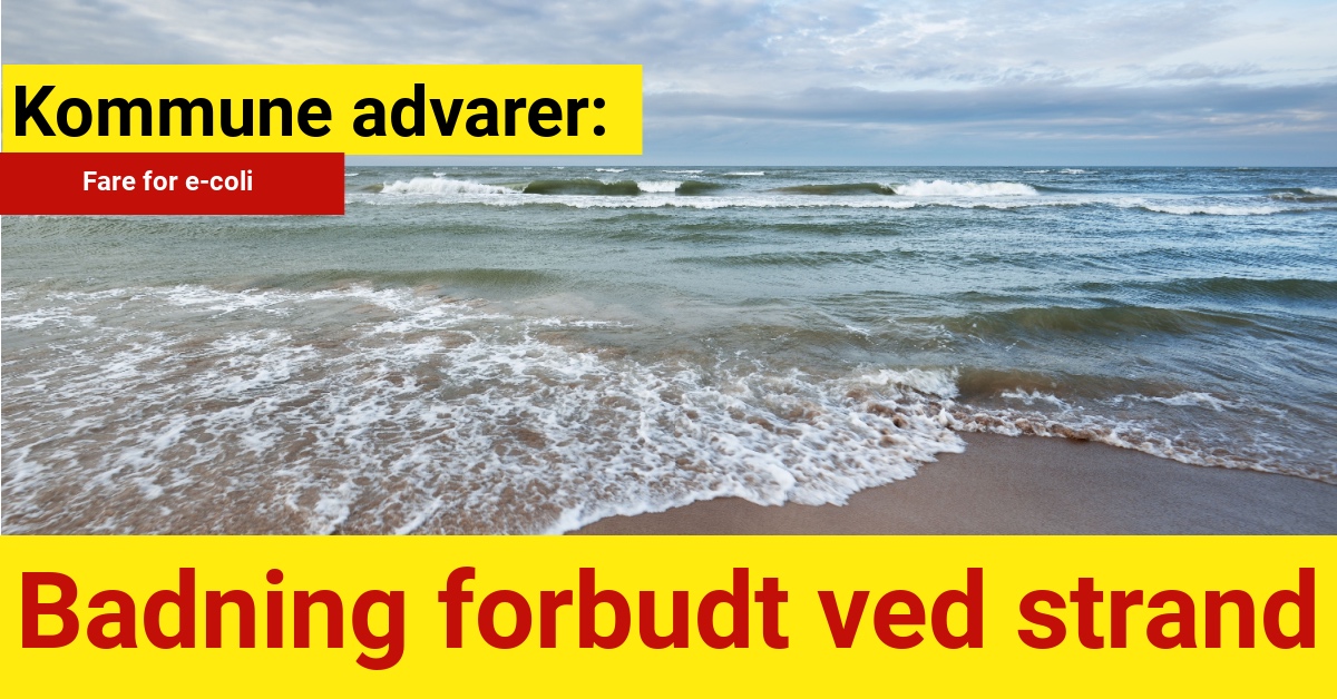 Kommune advarer: Badning forbudt ved strand