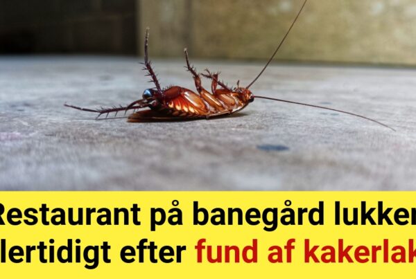 Restaurant på banegård lukker midlertidigt efter fund af kakerlakker - Forventes at åbne igen fredag