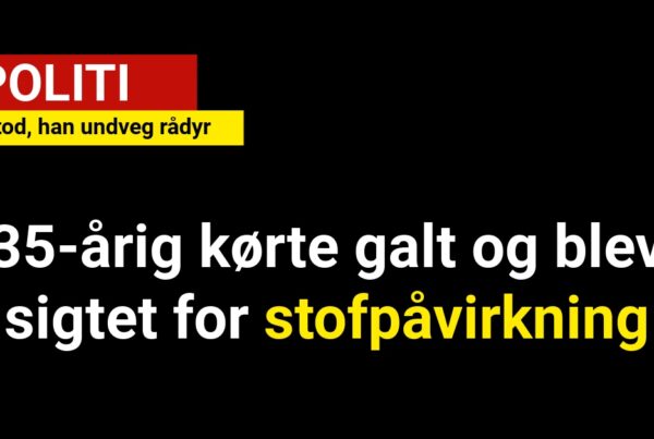 35-årig kørte galt og blev sigtet for stofpåvirkning – påstod, han undveg rådyr