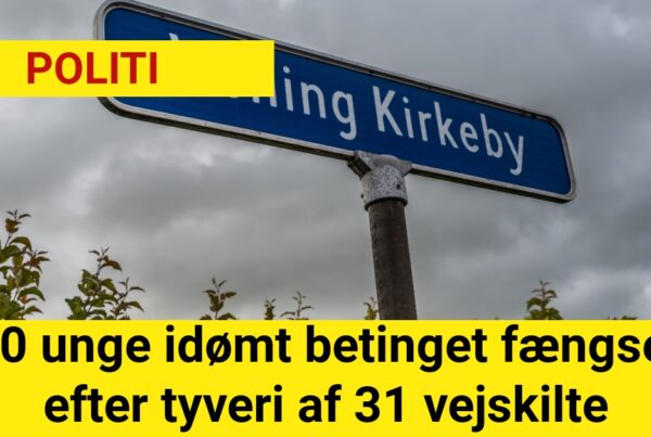 10 unge idømt betinget fængsel efter tyveri af 31 vejskilte