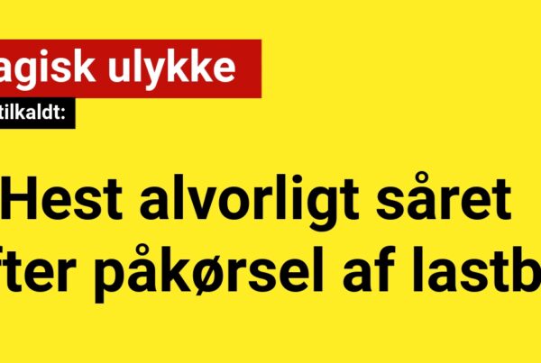 Hest alvorligt såret efter påkørsel af lastbil