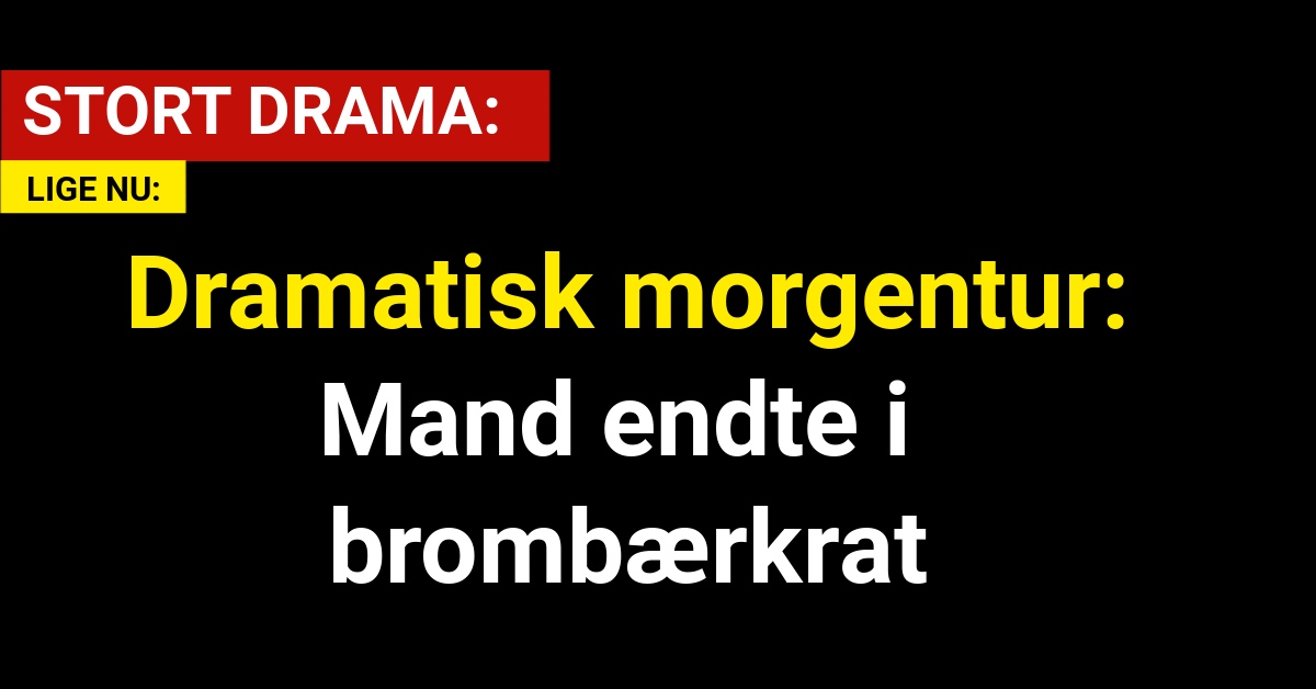 Dramatisk morgentur: Mand endte i brombærkrat