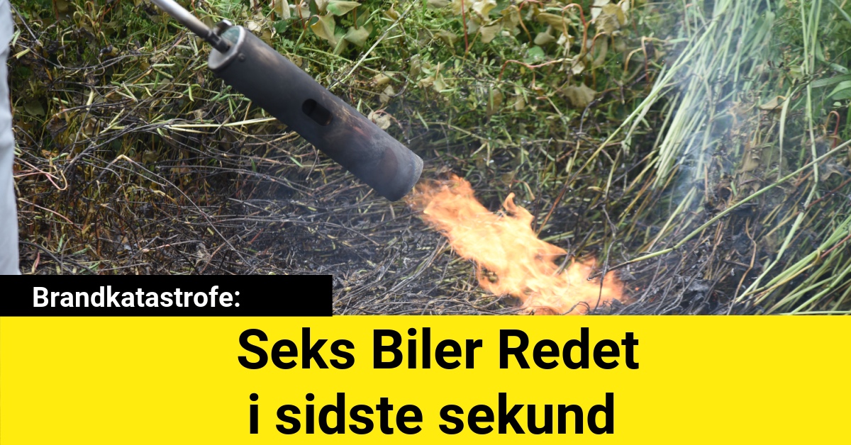 Brandkatastrofe: Seks Biler Redet i sidste sekund