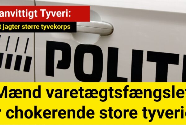 Vanvittigt Tyveri: Østeuropæiske Mænd Varetægtsfængslet for Store Tyverier – Politiet Jagter Større Tyvekorps