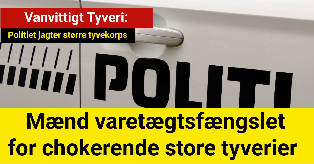 Vanvittigt Tyveri: Østeuropæiske Mænd Varetægtsfængslet for Store Tyverier – Politiet Jagter Større Tyvekorps