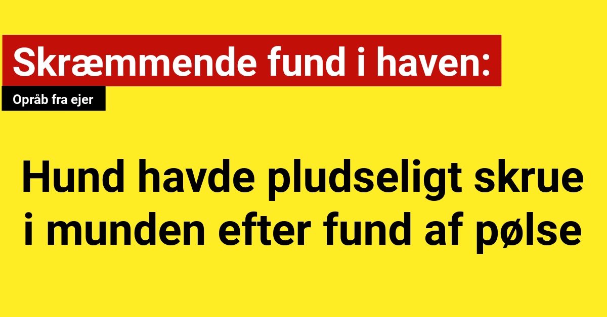 Skræmmende fund i haven: Hund havde pludseligt skrue i munden efter fund af Pølse