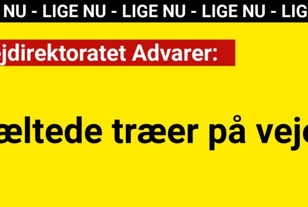 Vejdirektoratet Advarer: Væltede træer på vejen