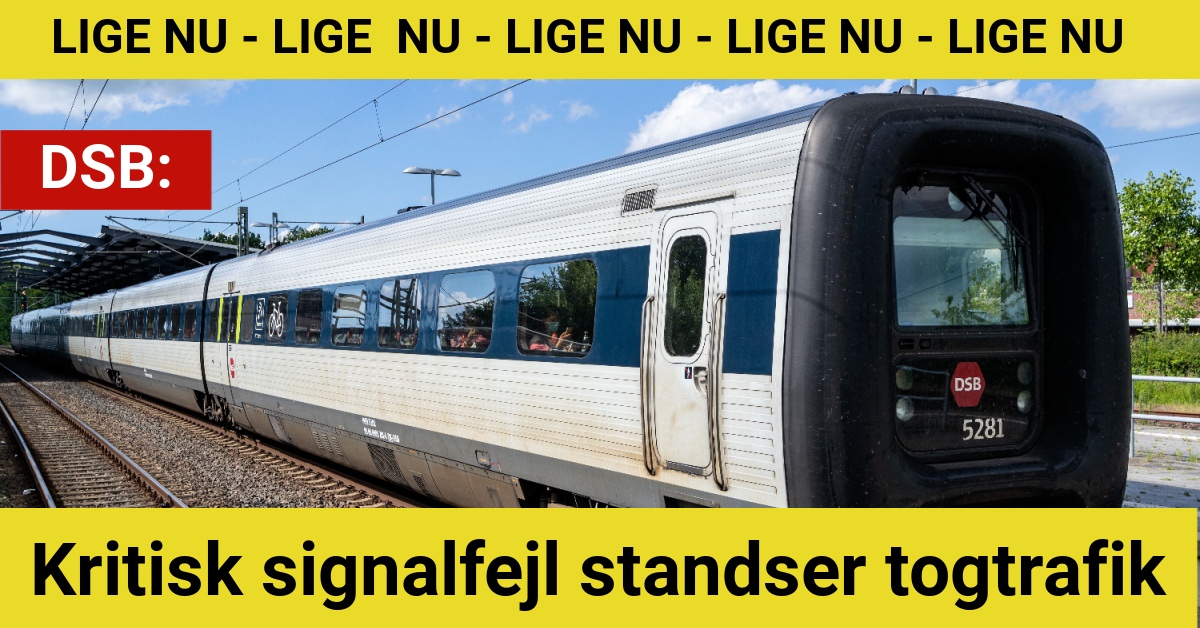 kritisk signalfejl standser togtrafik