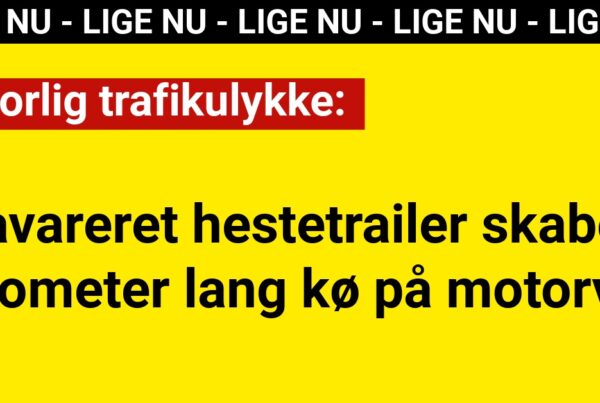 Havareret hestetrailer skaber kilometer lang kø på motorvej