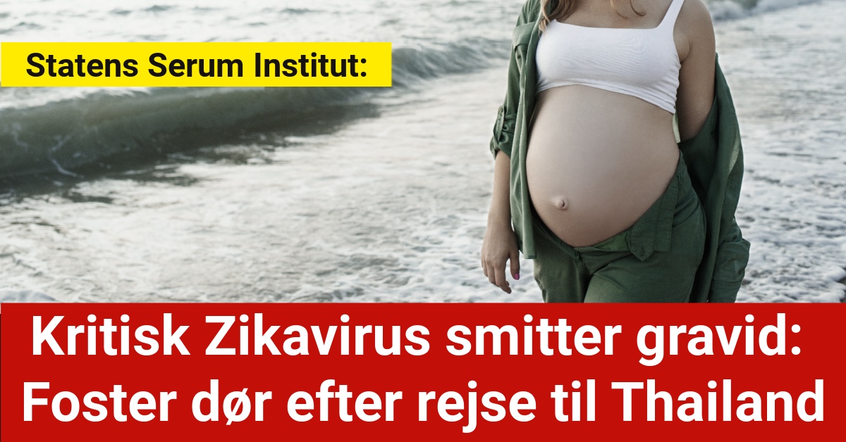 Kritisk Zikavirus smitter gravid: Foster dør efter rejse til Thailand