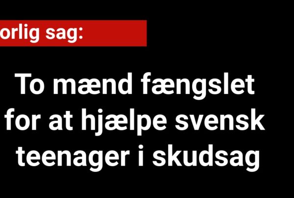 To mænd fængslet for at hjælpe svensk teenager i skudsag