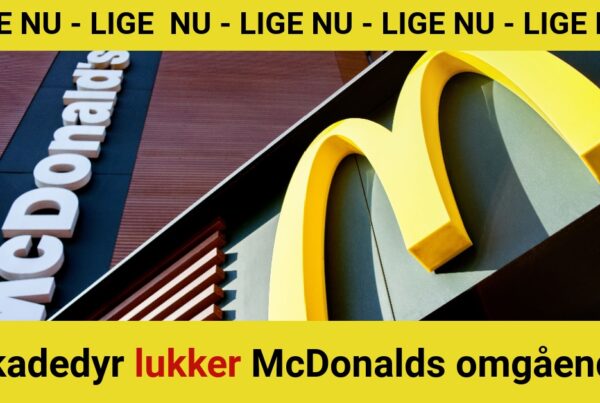 Skadedyr lukker McDonalds omgående