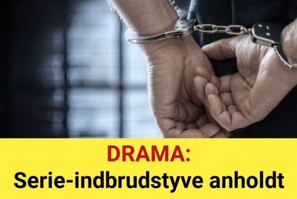 DRAMA: Serie-indbrudstyve anholdt