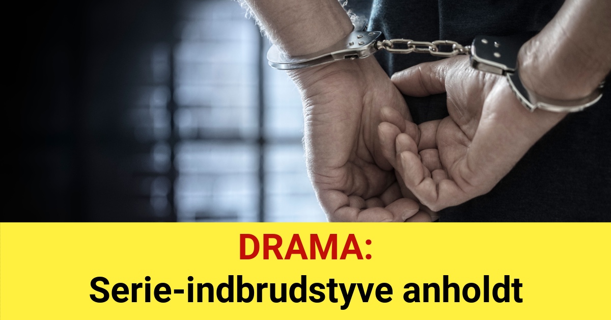 DRAMA: Serie-indbrudstyve anholdt