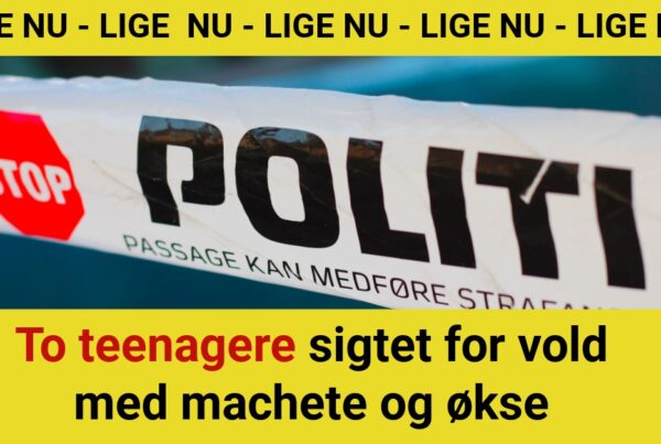 To teenagere sigtet for vold med machete og økse