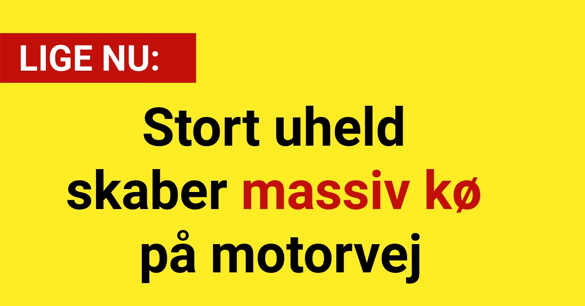 Stort uheld skaber massiv kø på motorvej