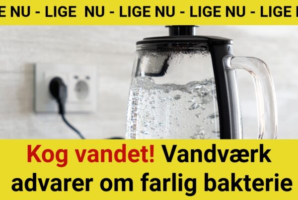 Kog vandet! Vandværk advarer om farlig bakterie