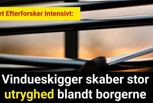 Vindueskigger skaber stor utryghed blandt borgerne - Krimi