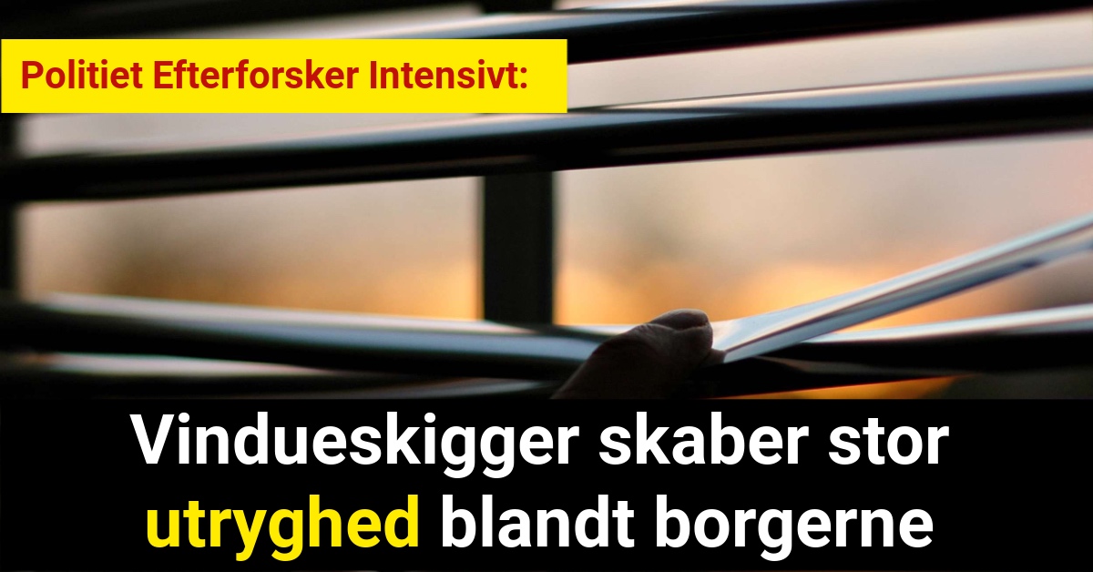 Vindueskigger skaber stor utryghed blandt borgerne - Krimi