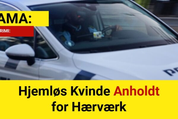 DRAMA: Hjemløs Kvinde Anholdt for Hærværk