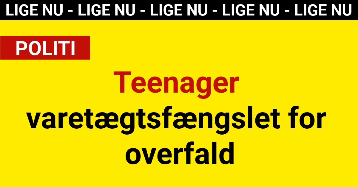 Teenager varetægtsfængslet for overfald