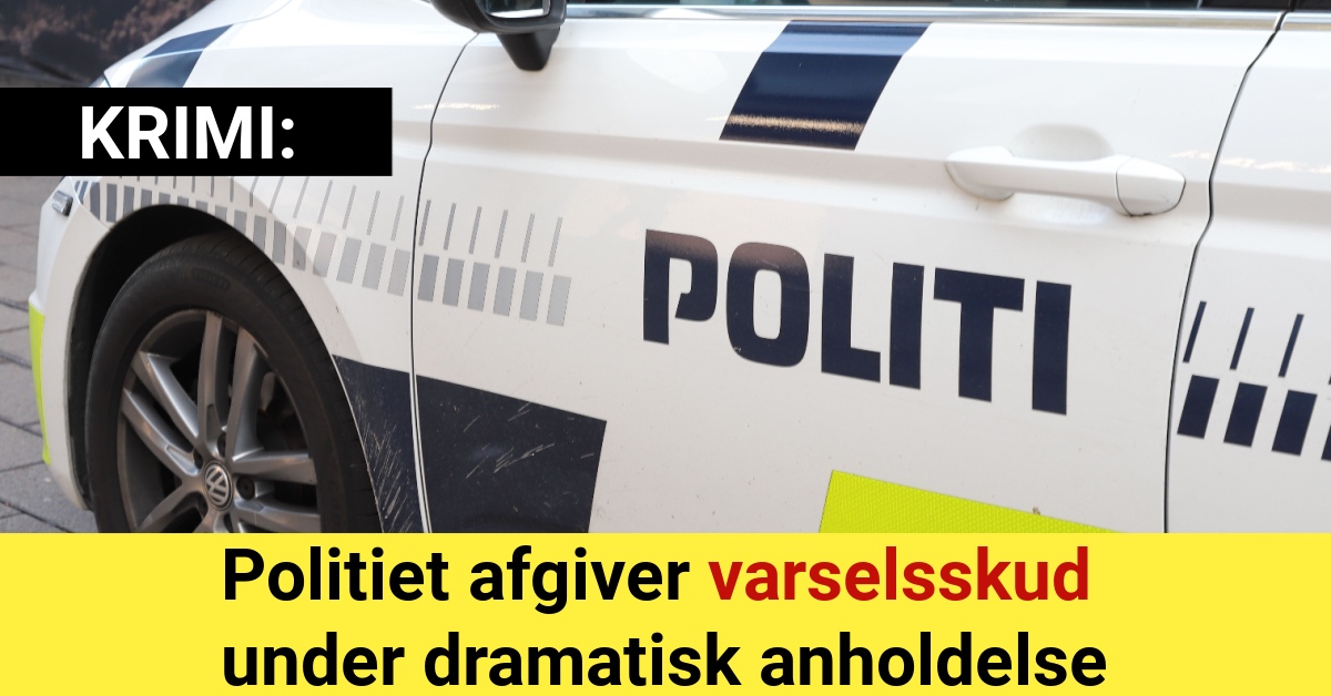 Politiet afgiver varselsskud under dramatisk anholdelse - Krimi