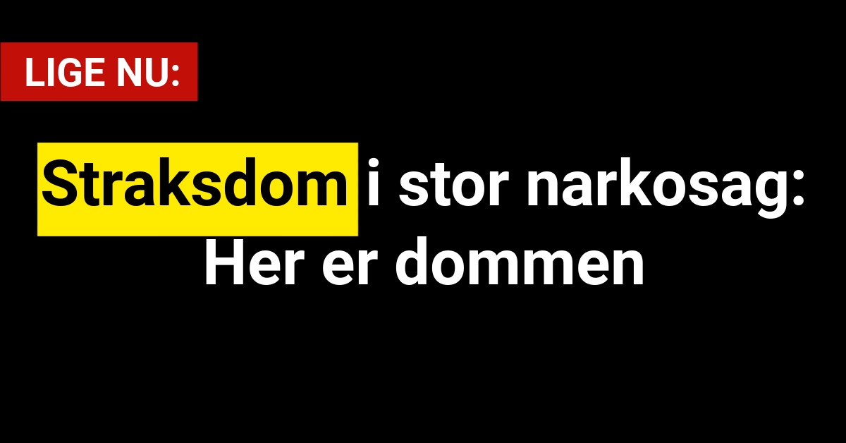 Straksdom i stor narkosag: Her er dommen