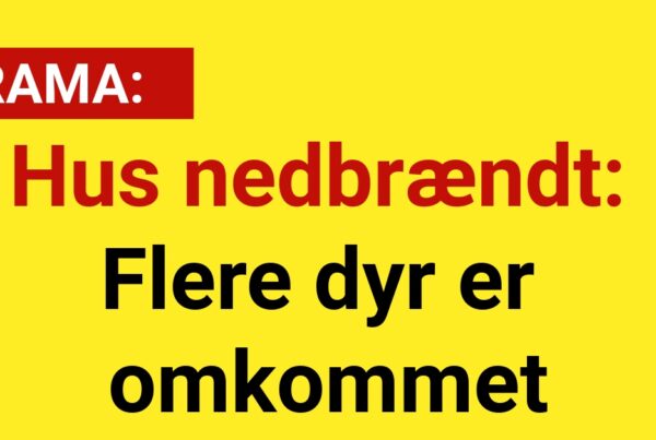 Hus nedbrændt: Flere dyr er omkommet
