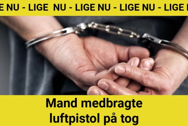 DRAMA: Mand medbragte luftpistol på tog