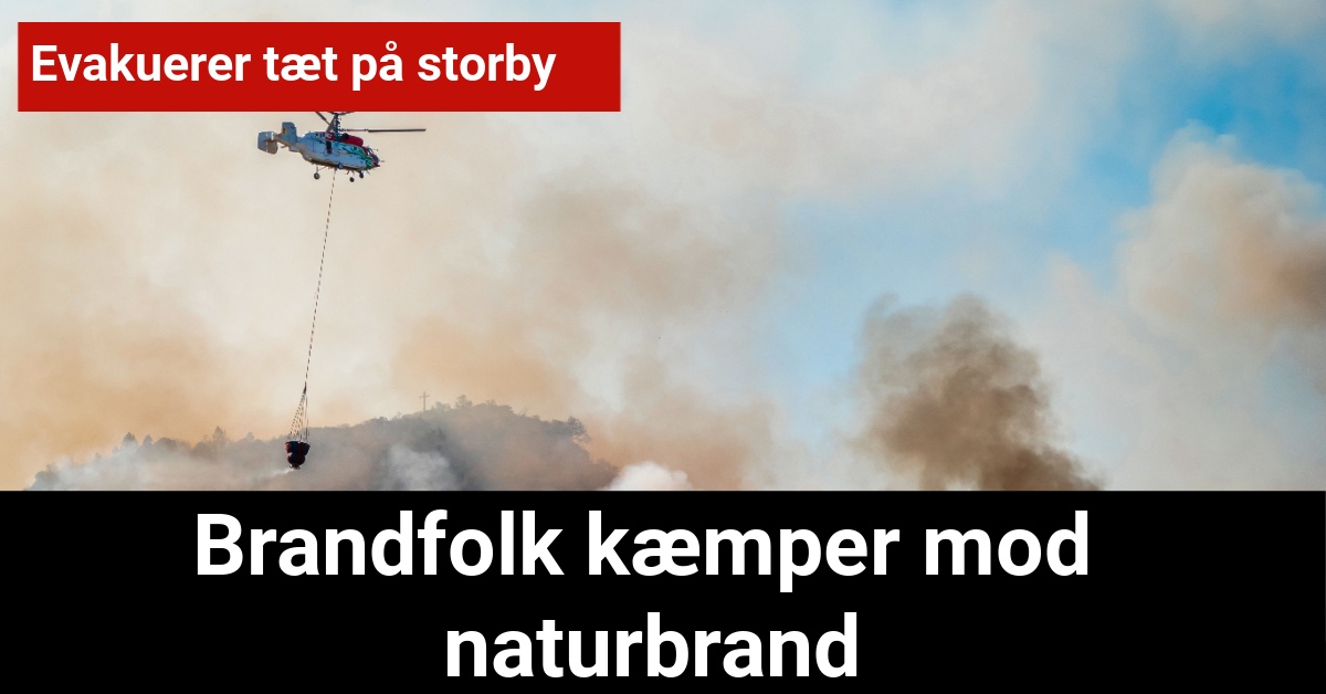 Brandfolk kæmper mod naturbrand: Evakuerer tæt på storby