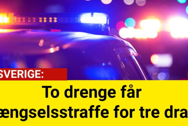 To drenge får fængselsstraffe for tre drab