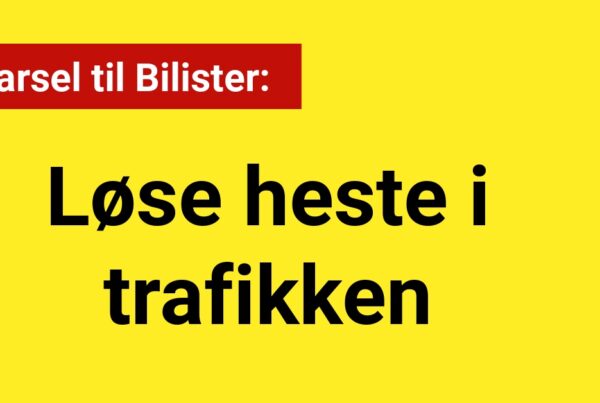 Advarsel til Bilister: Løse heste i trafikken