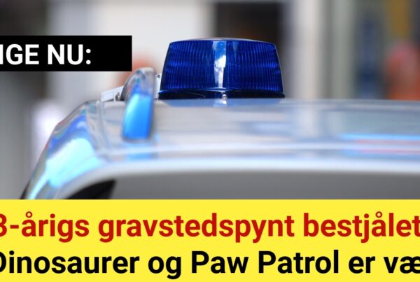 3-årigs gravstedspynt bestjålet - Dinosaurer og Paw Patrol er væk