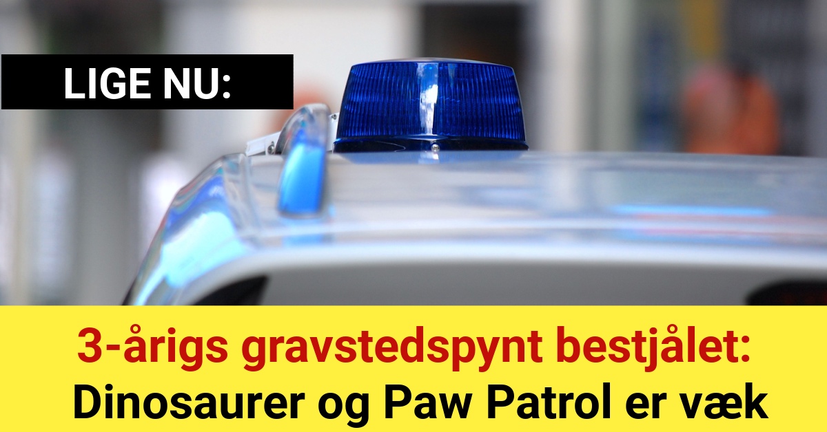 3-årigs gravstedspynt bestjålet - Dinosaurer og Paw Patrol er væk