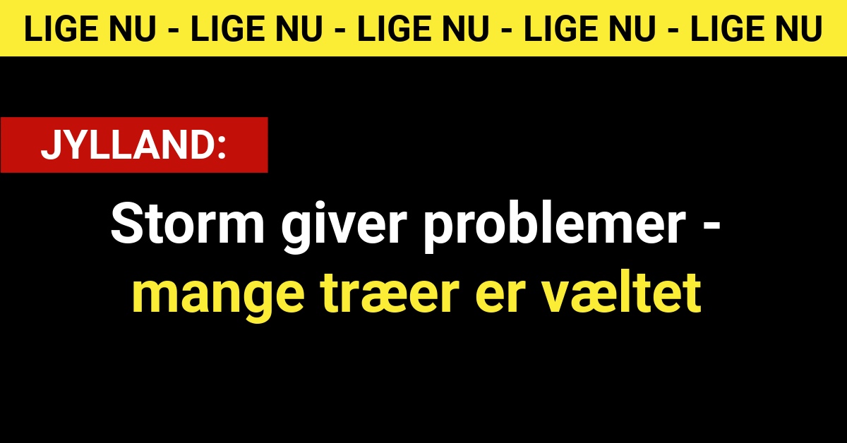 Storm giver problemer - mange træer er væltet