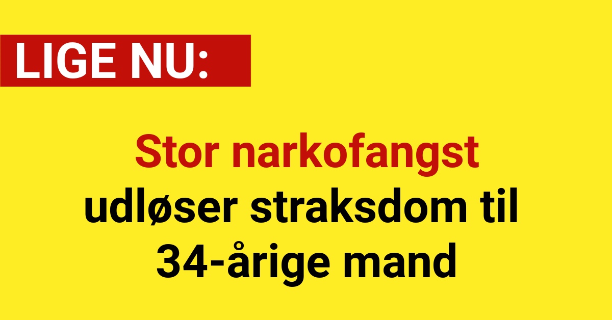 Stor narkofangst udløser straksdom til 34-årige mand