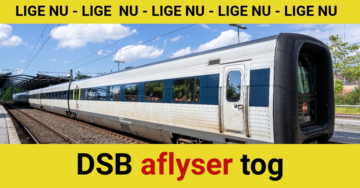 DSB aflyser tog