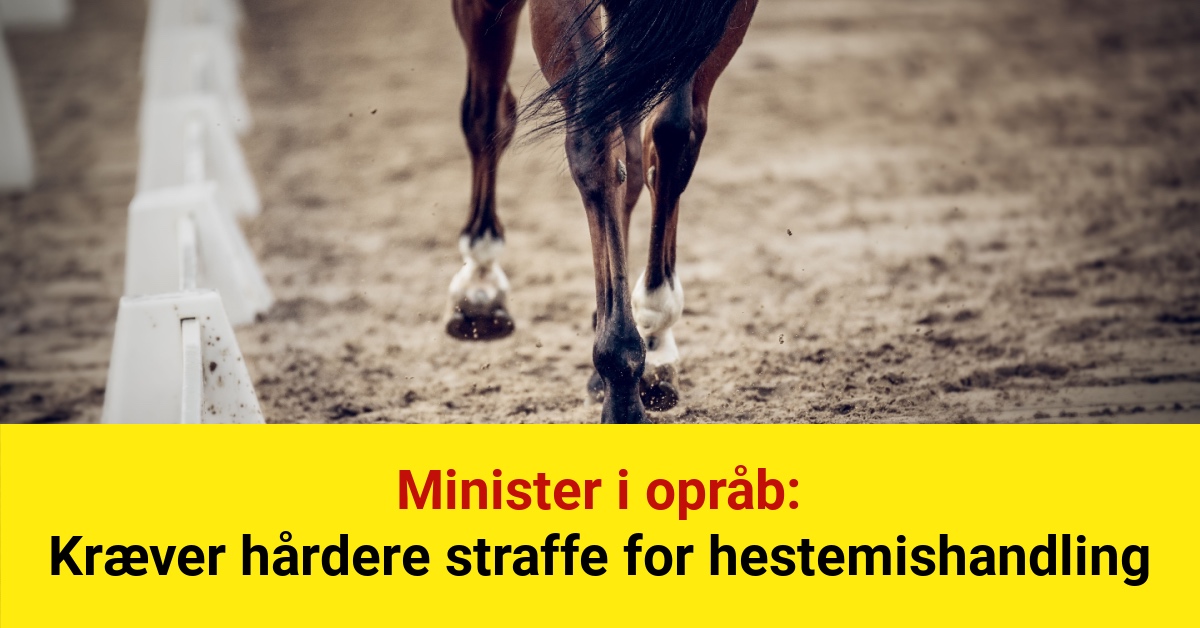 Minister i opråb: Kræver hårdere straffe for hestemishandling