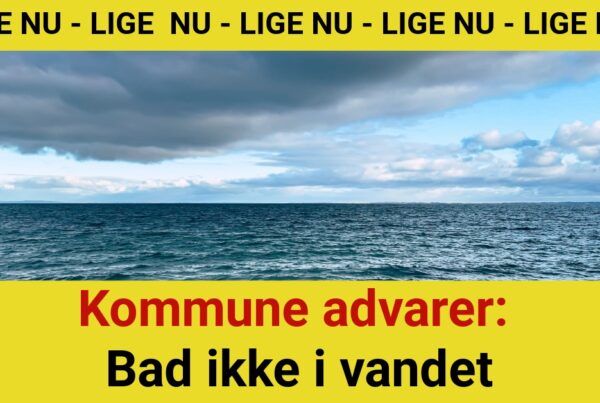Kommune advarer: Bad ikke i vandet