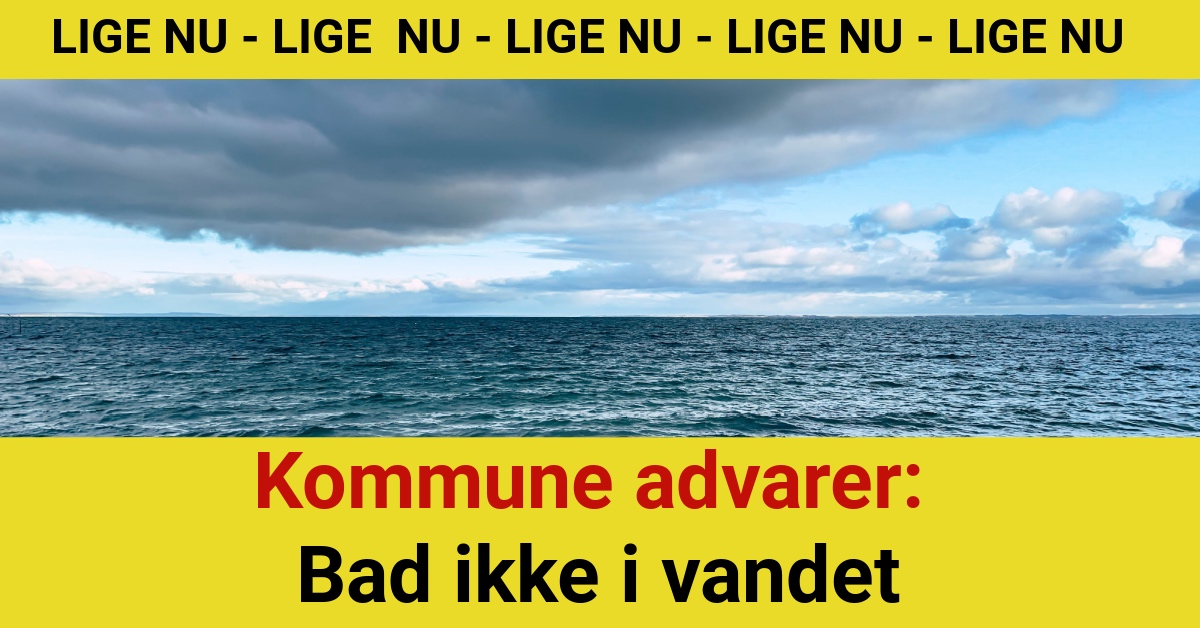 Kommune advarer: Bad ikke i vandet