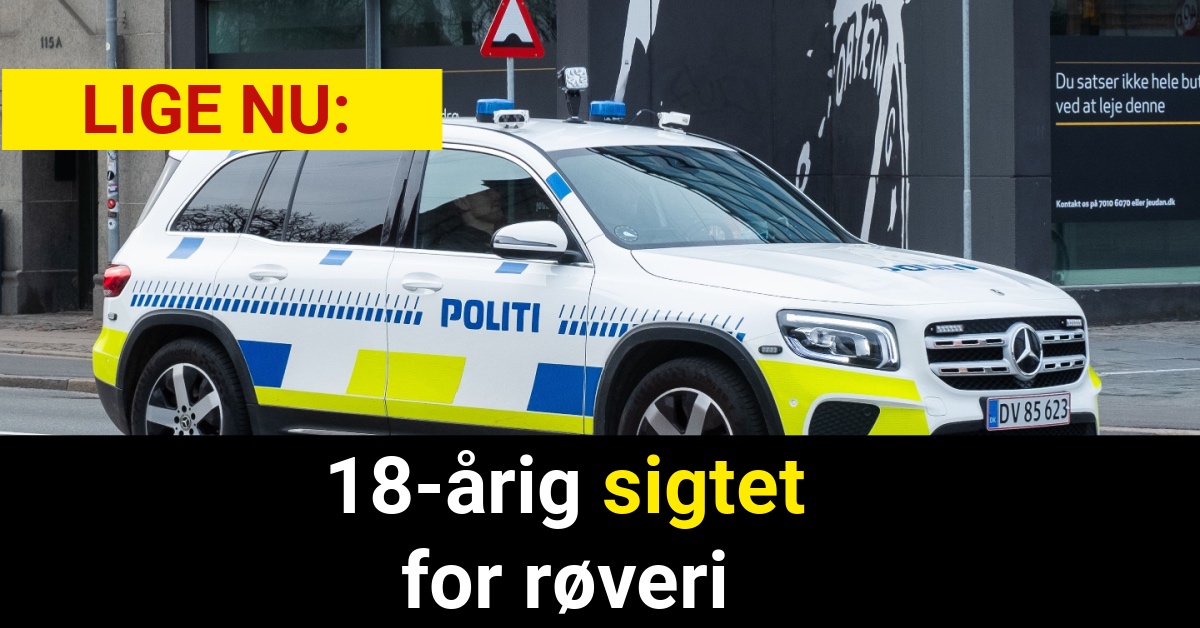 18-årig sigtet for røveri - Krimi