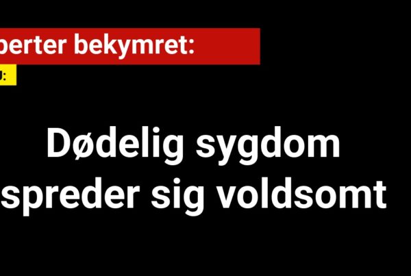 Eksperter bekymret: Dødelig sygdom spreder sig voldsomt