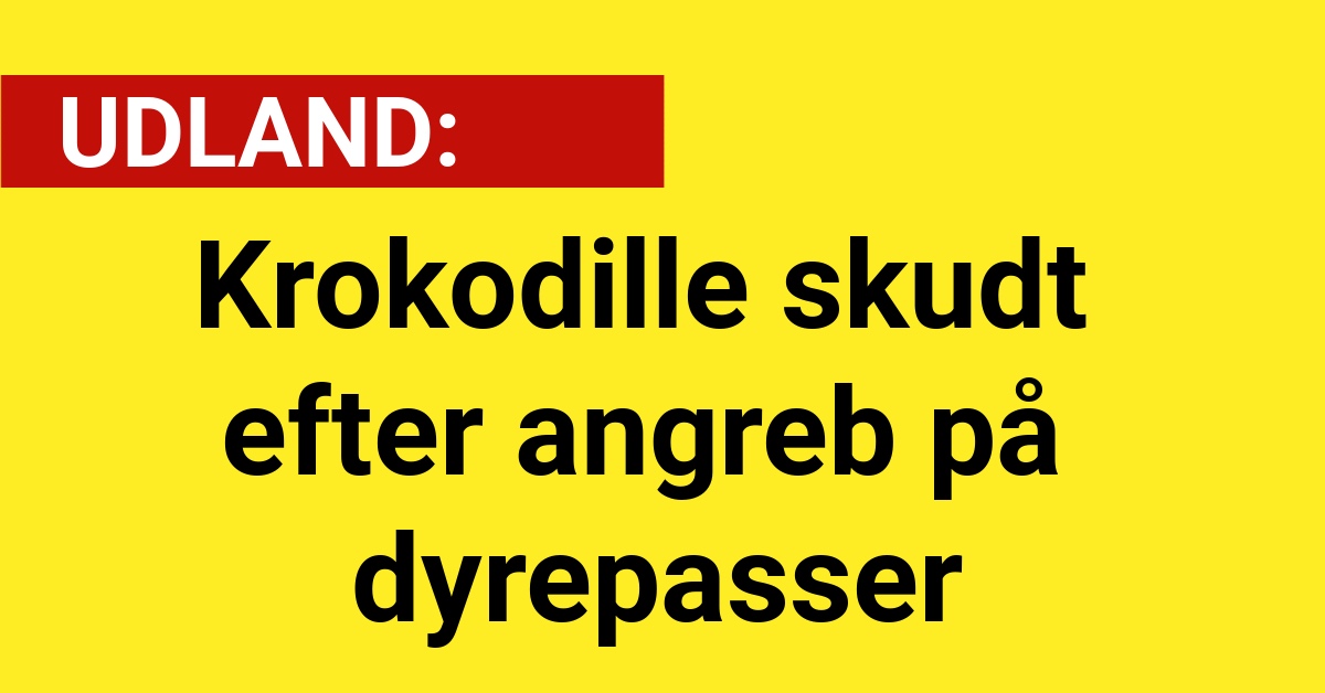 Krokodille skudt efter angreb på dyrepasser