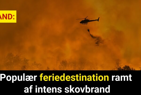 Populær feriedestination ramt af intens skovbrand